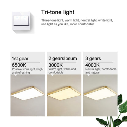 Macaron LED Rectangle Ceiling Lamp, 3-Colors Light, Size:88x62cm(Green) by bashfashion