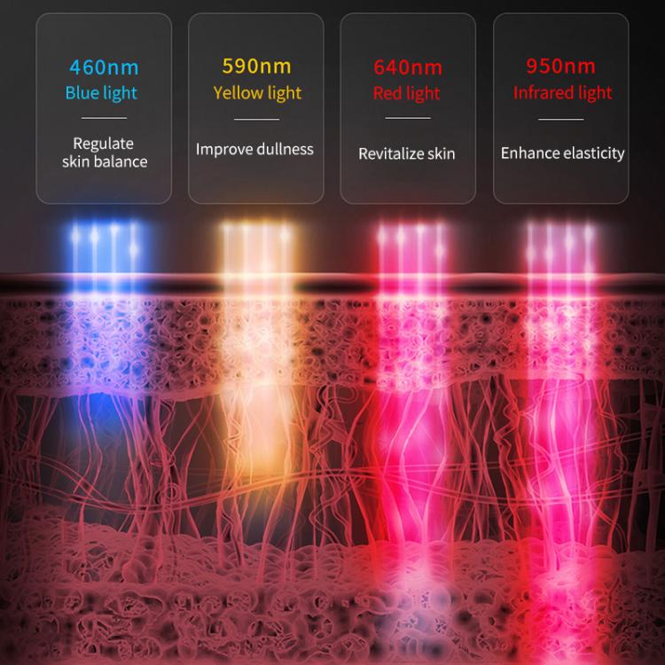 EDA0080456_B5.jpg@7e0a3b47474201a1b0b3416e711d7d0b