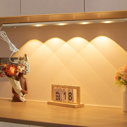 220V CN Plug Motion Sensor Wardrobe Cabinet Lamp LED Light Bar, Spec: Warm White 60cm by bashfashion