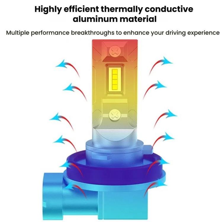 TBD06059236_B6.jpg@e46b6f75a6cb8a874e868375ec25565a